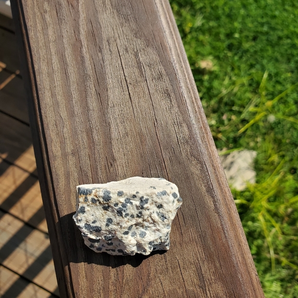 #4 Raw Dalmatian Jasper Gemstone - Picture 2 of 6